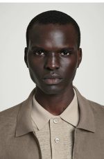 Linen Regular Polo - Image 3