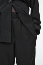 Pleated Regular Pants - Image 2