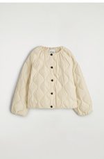 Quilted Regular Jacket - Image 4