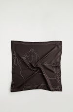 Embroidered Silk Scarf Brown