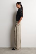 Pleated Pants Beige - Image 2