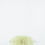 Imitation Fur Fluff Clutch Bag Light Green