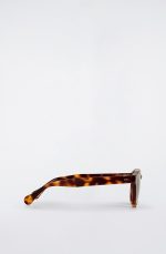 Sunglasses Brown - Image 4